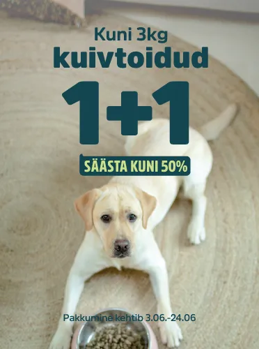 Väiksed kuivtoidud 1+1