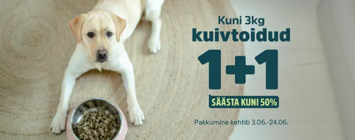 1+1koerale