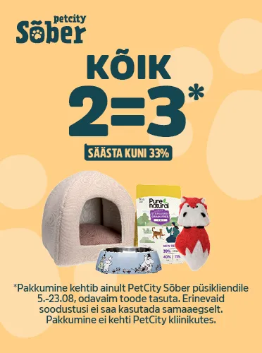 Kõik 2=3