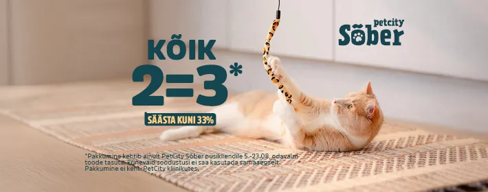 2=3 kassile