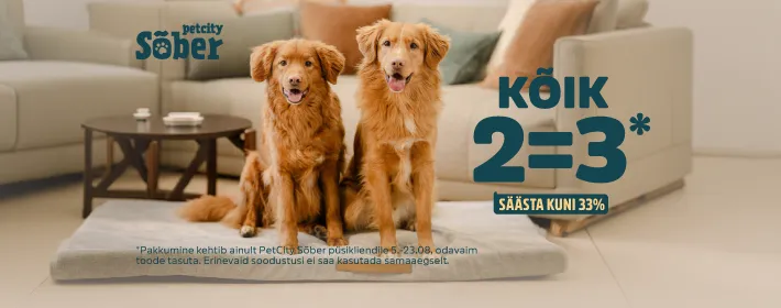 2=3 koerale