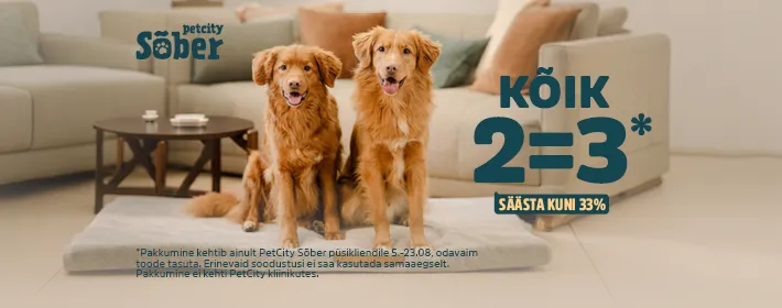 2=3 koerale