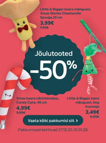 Jõulukingid lemmikule