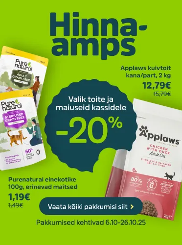 Hinnaamps_Toit maius kass