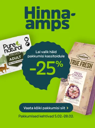 Hinnaamps_Toit maius kass