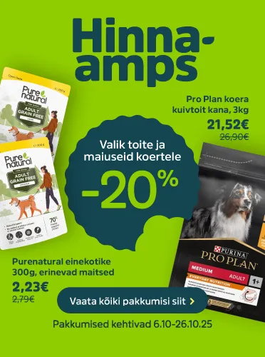Hinnaamps_Toit maius koer