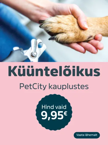 Küüntelõikus
