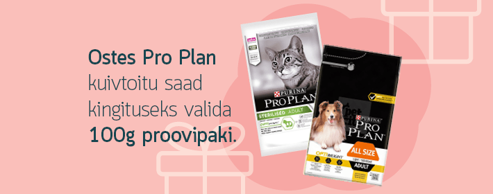 Üks kõik millise kassi või koera kuivtoiduga kaasa TASUTA Pro Plan 100g proovipakk. Kingitust ei lisata tellimusega kaasa automaatselt. Kingituse saab valida ostukorvis sisse loginud klient.  Pakkumine kehtib kaupluses ja e-poes. 