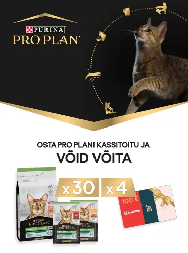 Osta Pro Plan kassitoitu ja võid võita Pro Plan kassitoitu või PetCity kinkekaardi