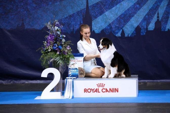 Koeranäituste ABC ehk kellele need mõeldud on ja mis seal toimub