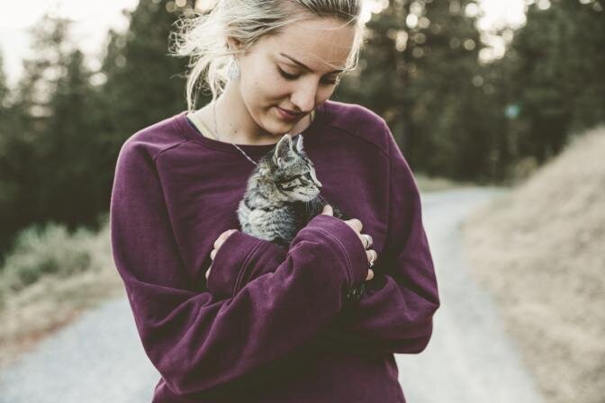 Kasside idiopaatiline põiepõletik ehk tsüstiit (FIC feline idiopathic cystitis)