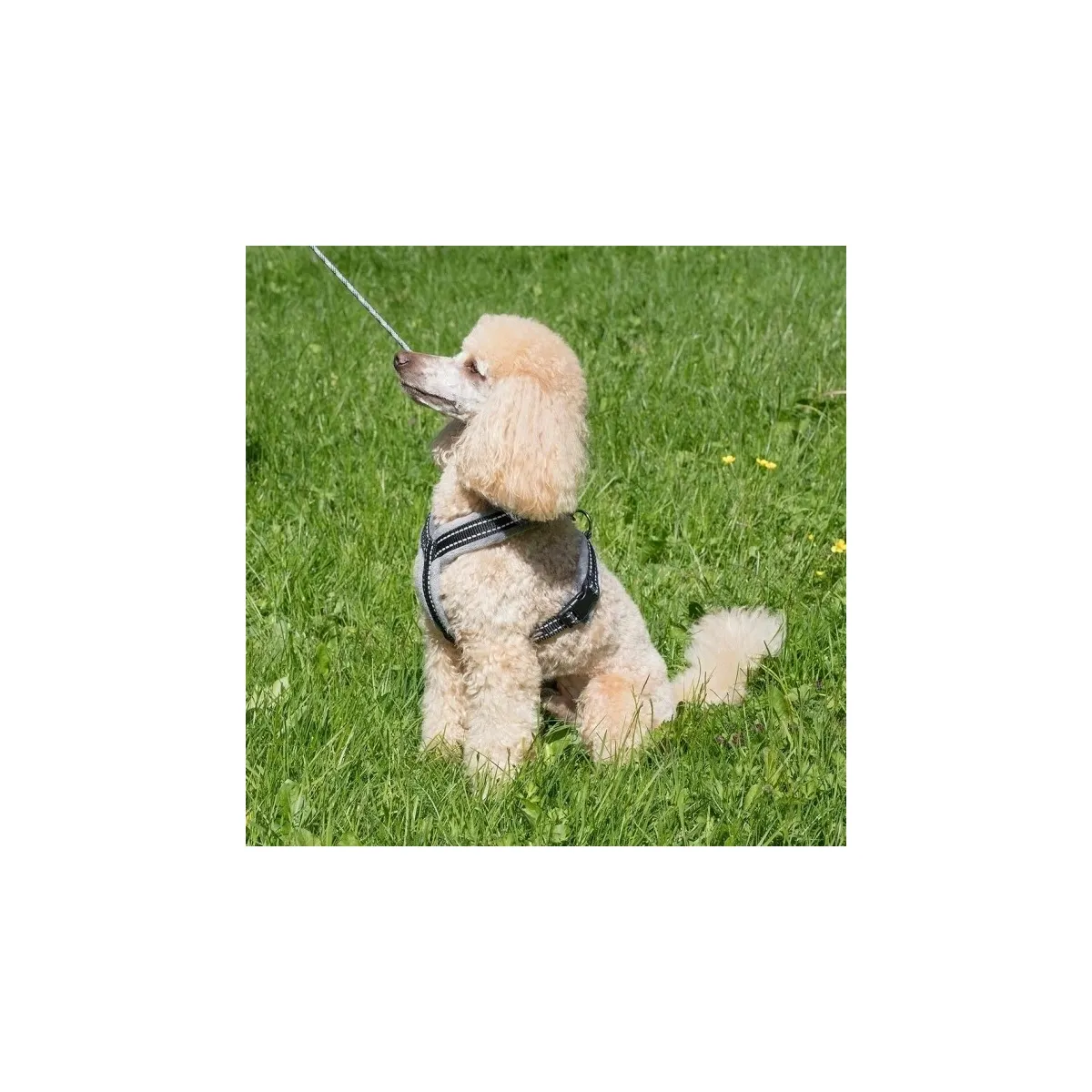 Basic Cosy traksid hall 45 - Tootepilt 1