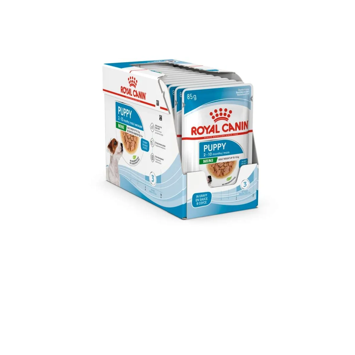 Royal Canin Mini einekotike väikest kasvu kutsikale, 12 x 85 g - Tootepilt