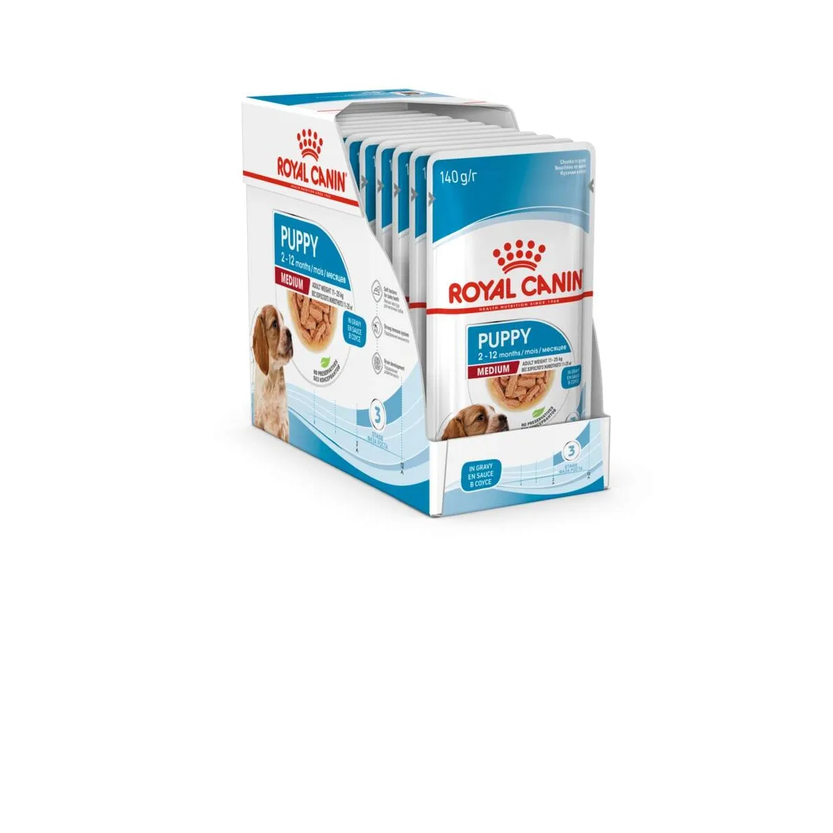 Royal Canin einekotike keskmist kasvu kutsikale, 10 x 140 g - Tootepilt
