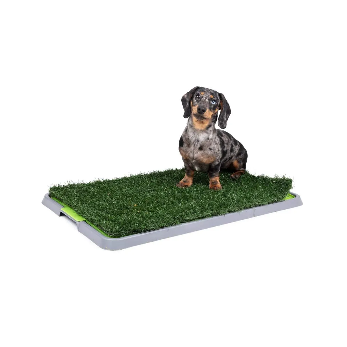 Little & Bigger Indoor Potty Patch siseruumi tualett - Tootepilt