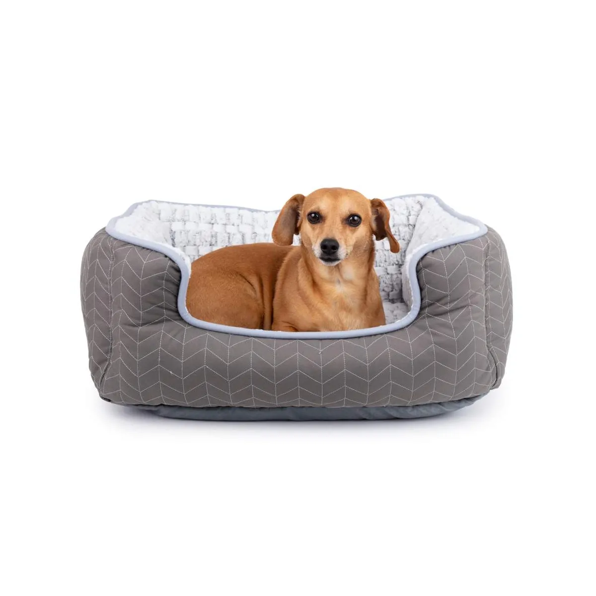 Basic Comfy koerapesa hall XL - Tootepilt