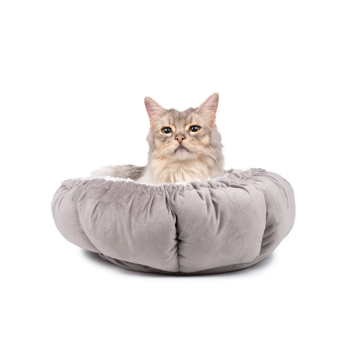 Basic multifunktsionaalne kassipesa - Tootepilt