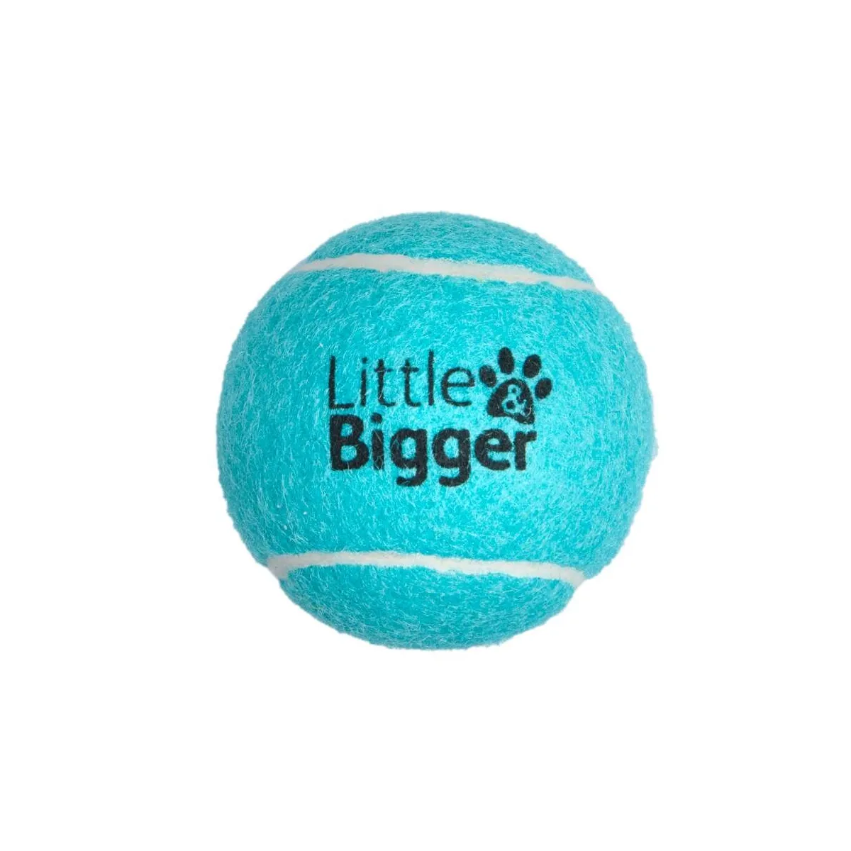 Little&Bigger Tennis koera mänguasi, piiksuv pall, türkiis, S - Tootepilt