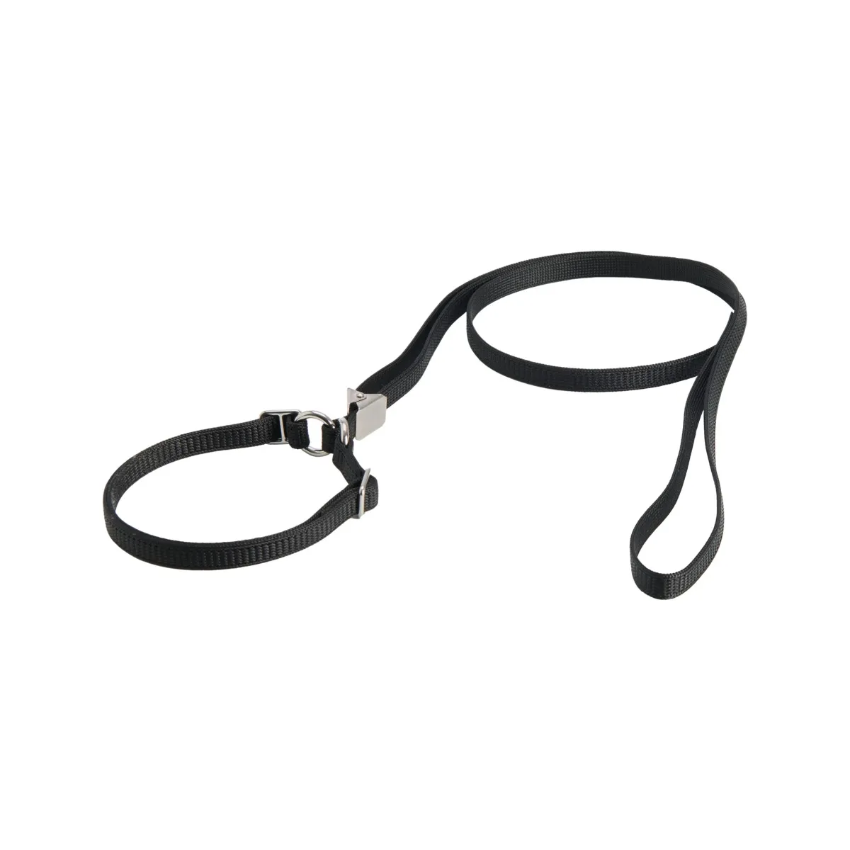 Show Dog koera näituserihm kaelarihmaga, 10 mm x 110 cm, must - Tootepilt