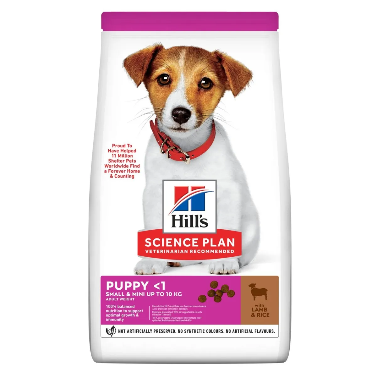Hill's Science Plan Small&Mini kutsikatele lambaliha ja riisiga 1,5kg - Tootepilt