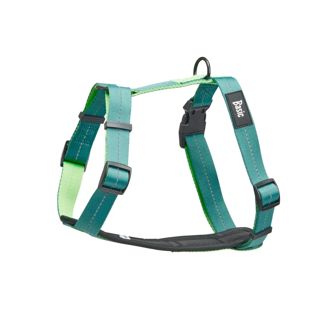 Basic koera traksid Fresh, XS, roheline - Tootepilt