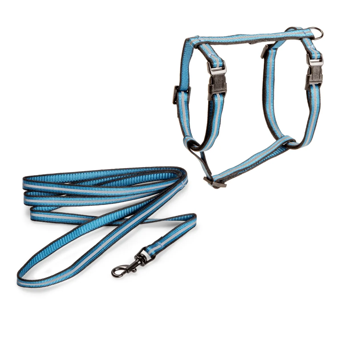 Basic kassi traksid ja jalutusrihm, M, sinine - Tootepilt