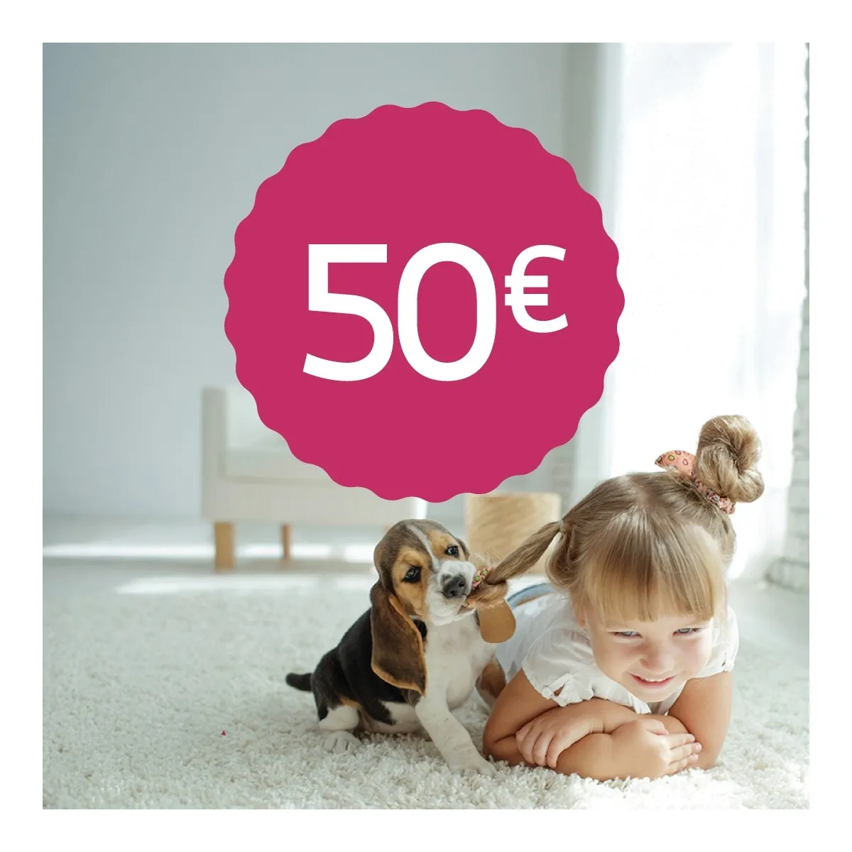 Annetan selle summa Varjupaikade MTÜ-le, 50 EUR - Tootepilt