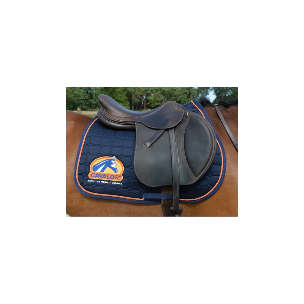Cavalor hobuse valtrap cob/full sinine - Tootepilt