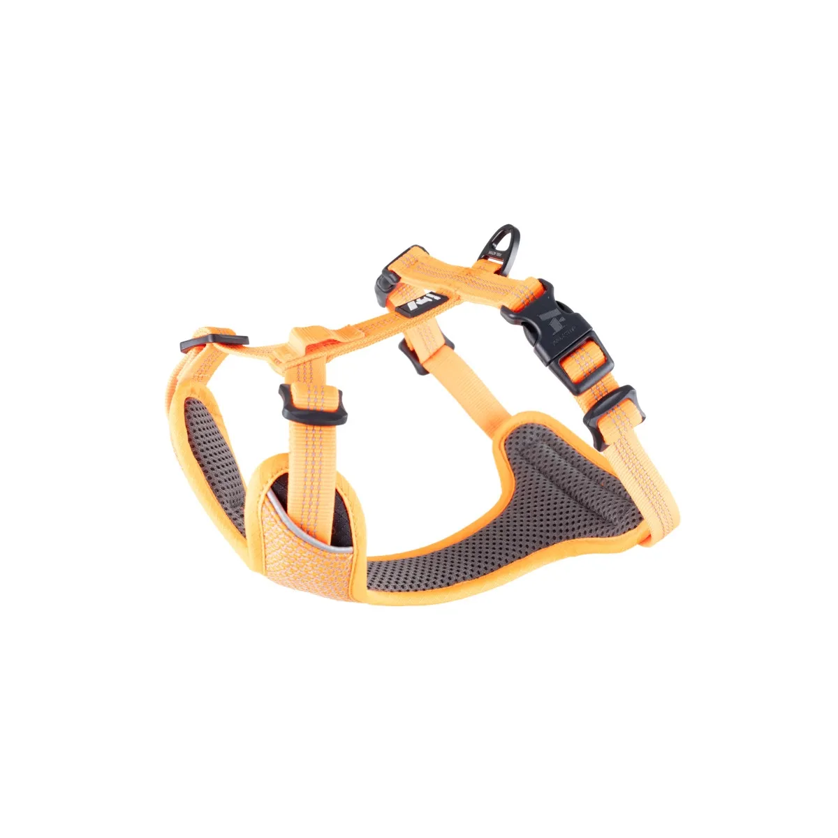 Feel Active koera traksid helkuriga, S, oranž - Tootepilt