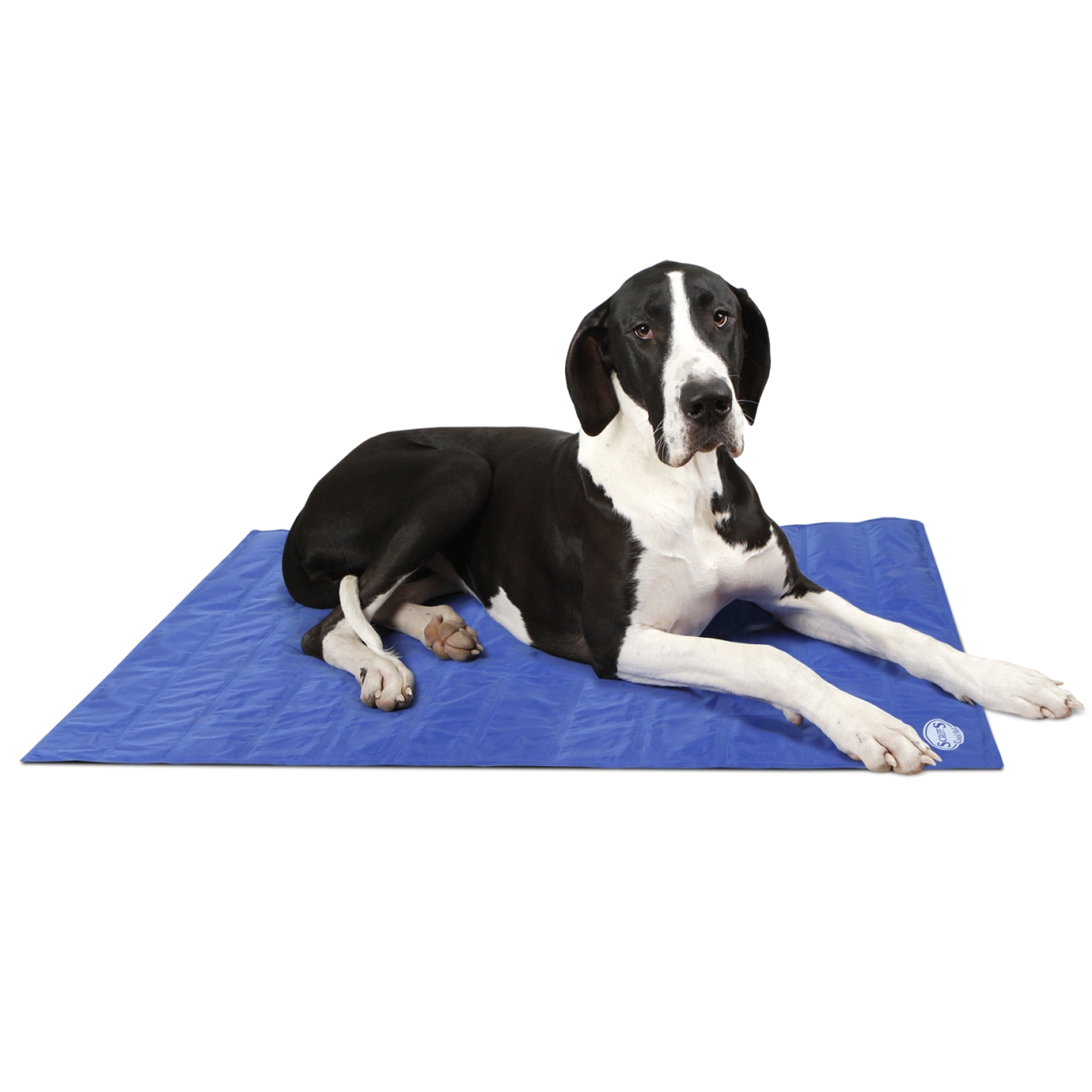 Scruffs koera jahutusmatt XL, sinine