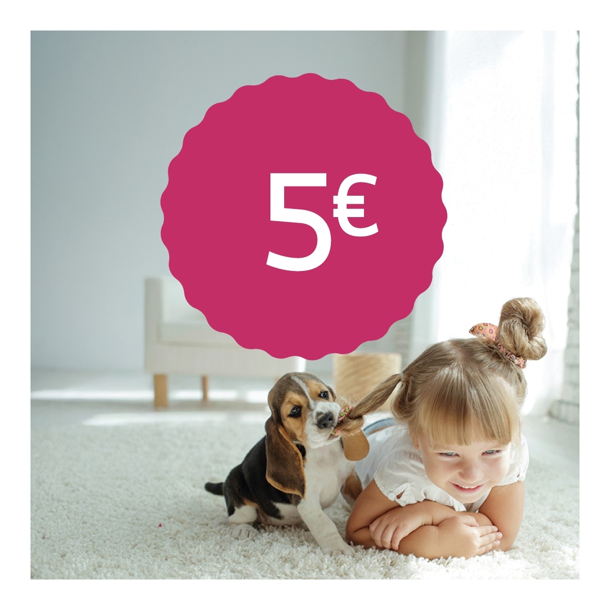 Annetan selle summa Varjupaikade MTÜ-le, 5 EUR - Tootepilt