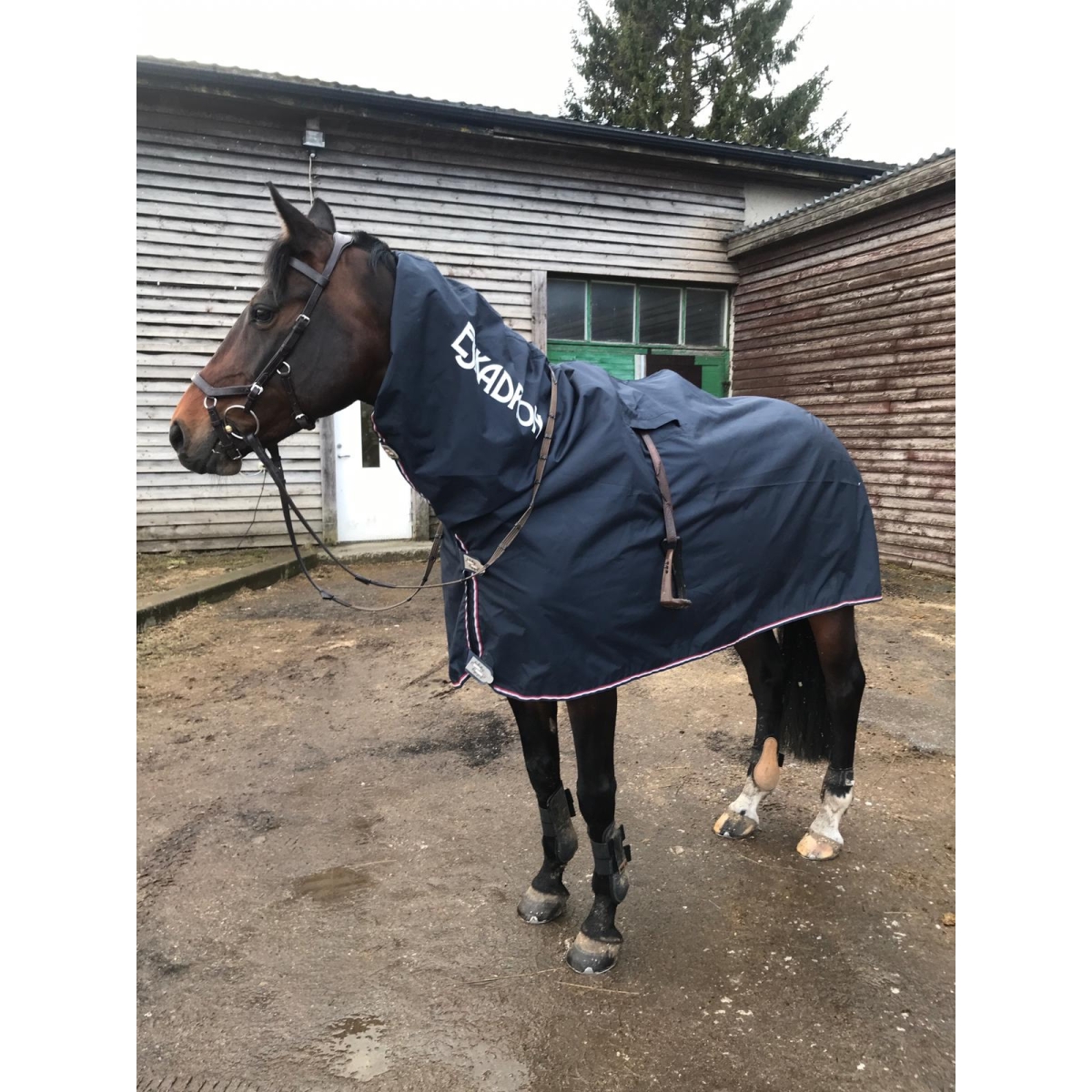 Eskadron Zipneck hobuse vihmatekk, M - Tootepilt