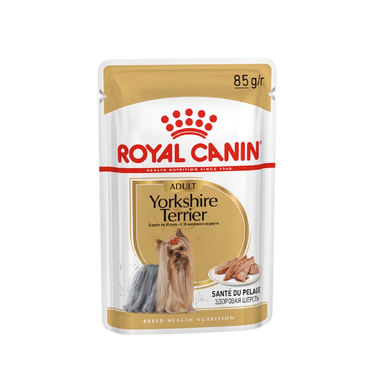 Royal Canin einekotike Yorkshire terjeritele 85 g - Tootepilt