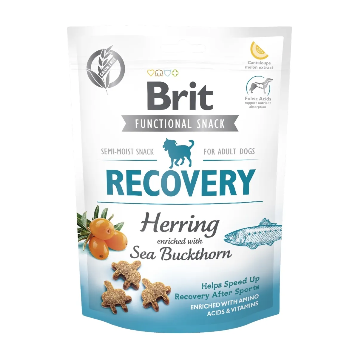 Brit Care Functional Recovery koera maius, heeringas, 150 g - Tootepilt