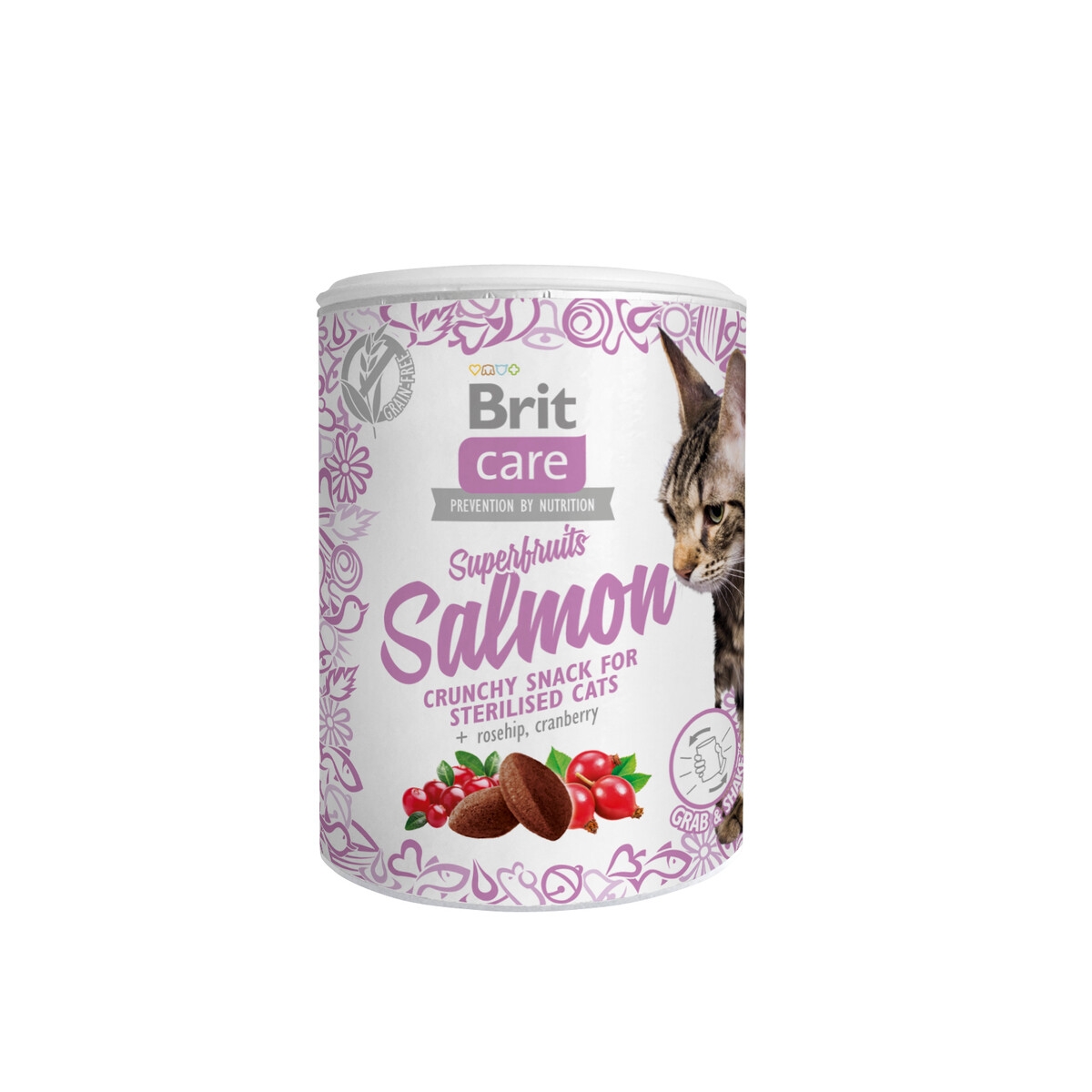 Brit Care Superfruits kassi maius, lõhe, 100 g - Tootepilt