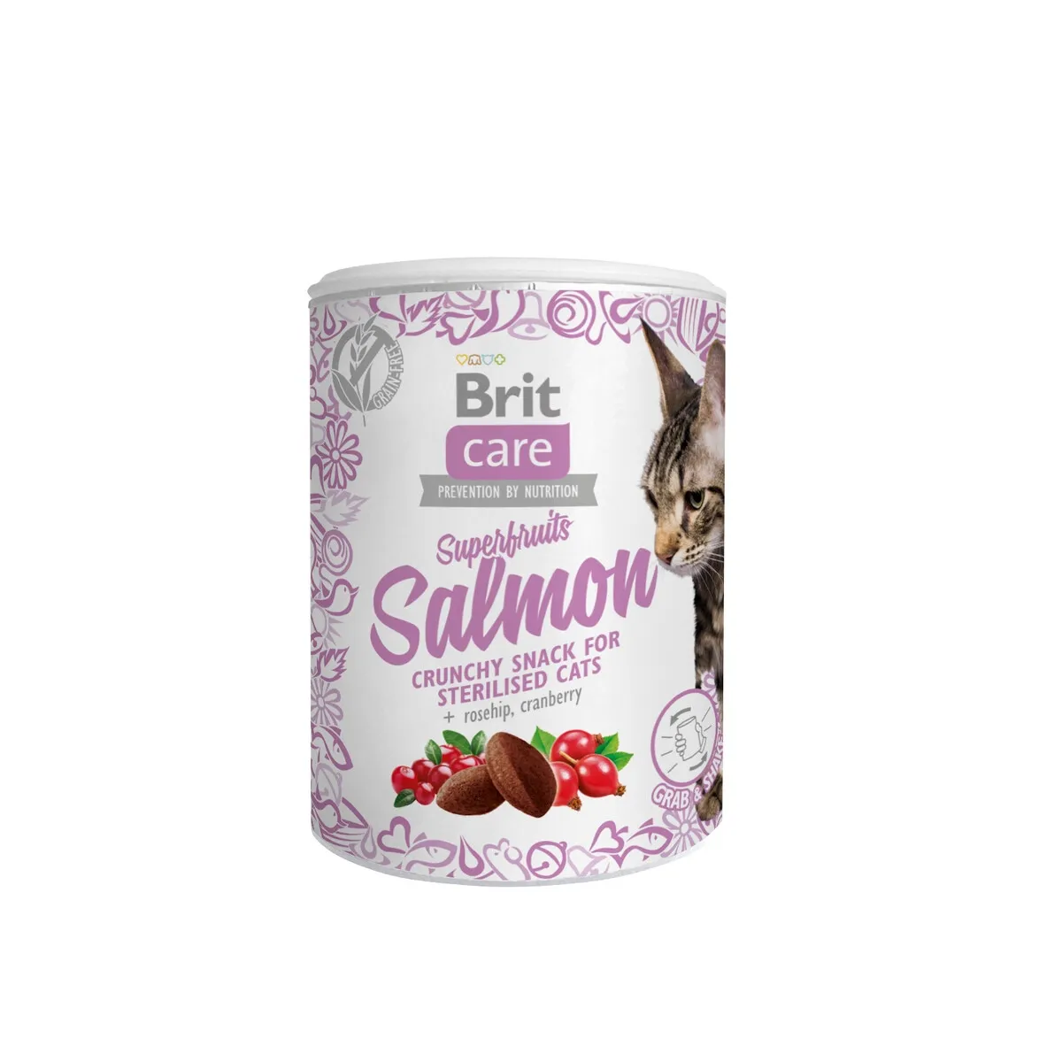Brit Care Superfruits kassi maius, lõhe, 100 g - Tootepilt