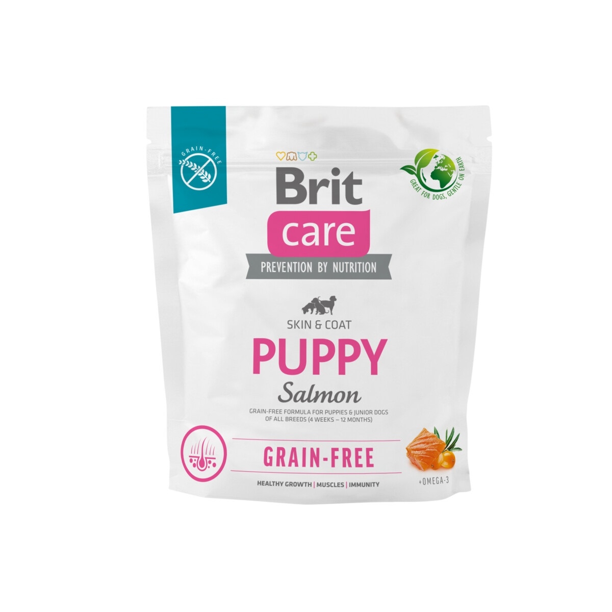 Brit Care kutsika kuivtoit, lõhe, 1 kg - Tootepilt