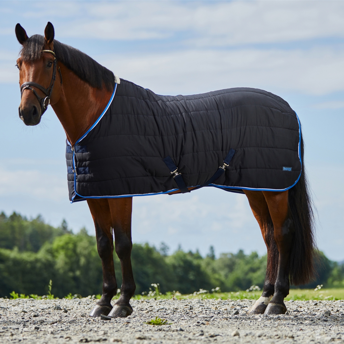 Horze Glasgow hobuse tallitekk 100 g, 145 cm, sinine