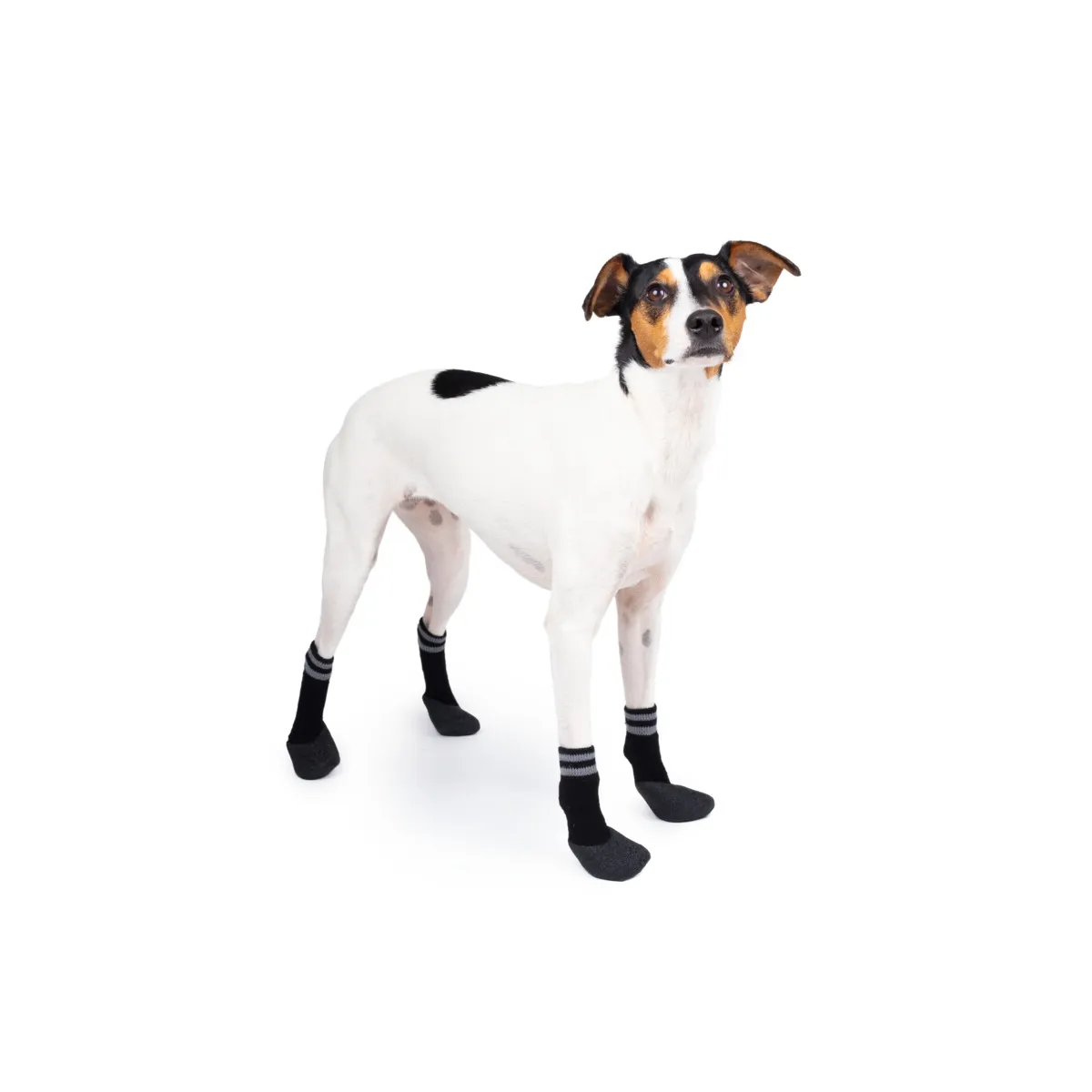 Basic koera saapad, suurus 2, must, 4 tk - Tootepilt