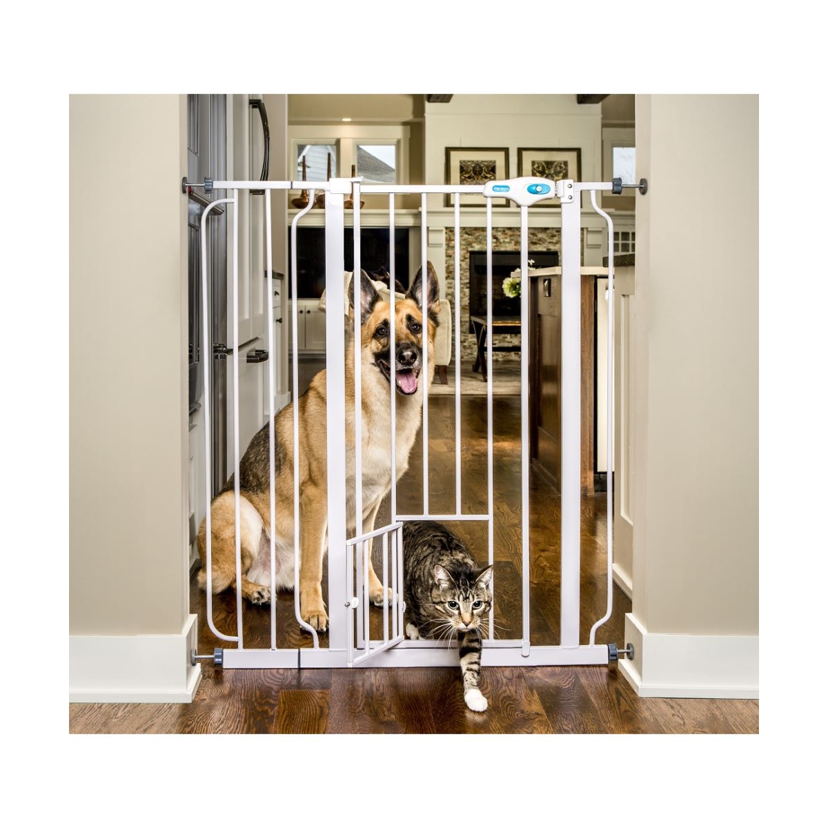 Carlson Pet Products väikese avaga turvapiire