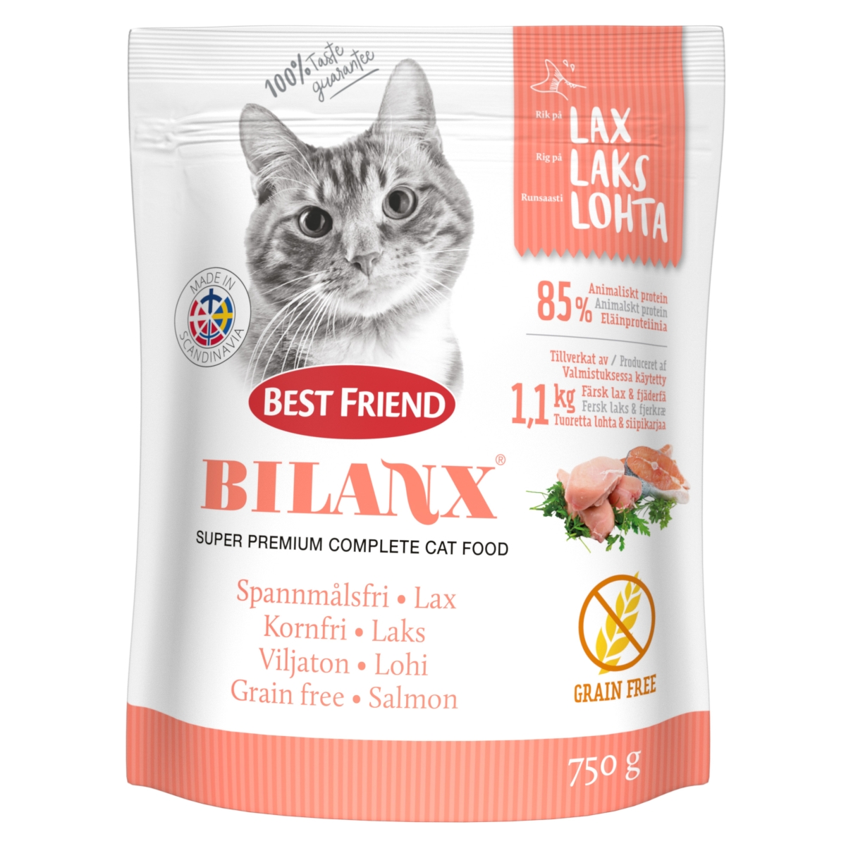 Best Friend Bilanx kassitoit lõhega, teraviljavaba 750 g