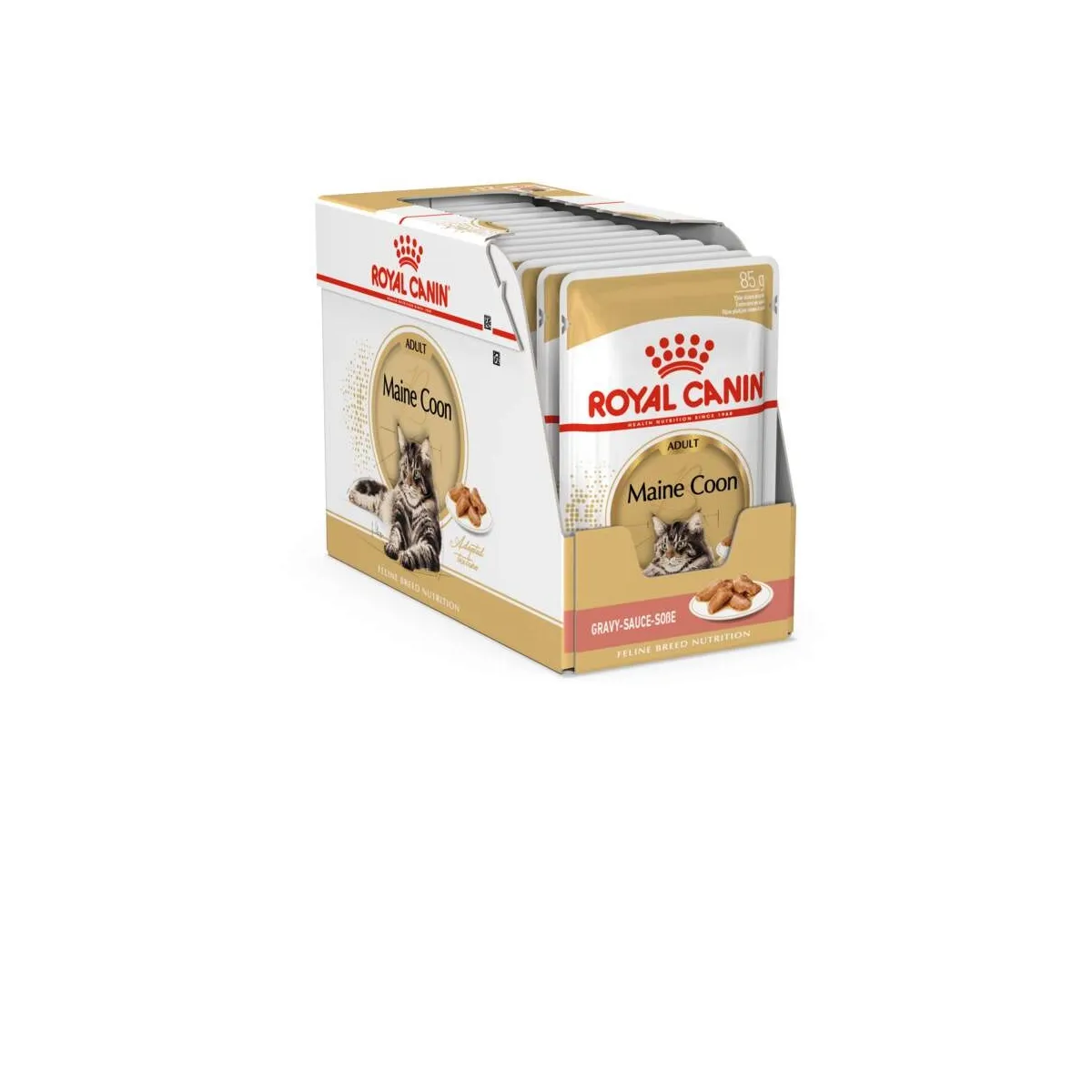 Royal Canin einekotike Maine Coon kassile, 12 x 85 g - Tootepilt