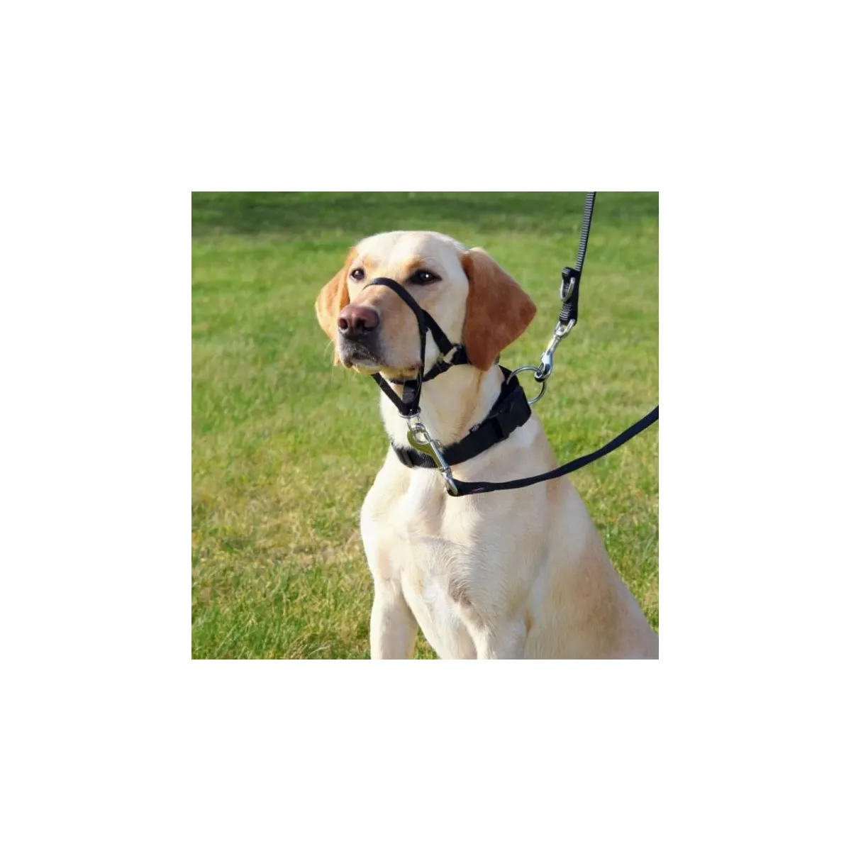 Trixie Top Trainer koonurihm M 27 cm - Tootepilt