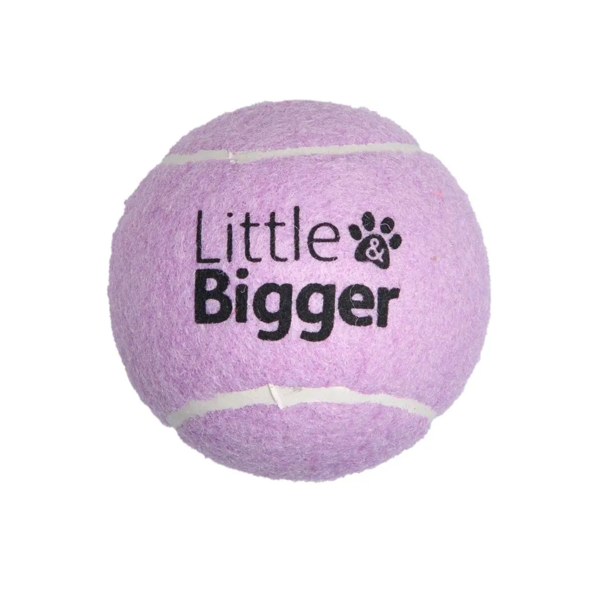 Little&Bigger Tennis koera mänguasi, piiksuv pall, lilla, M - Tootepilt