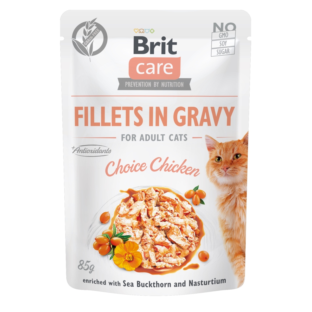 Brit Care einekotike kassile kanaga, 85 g - Tootepilt 1