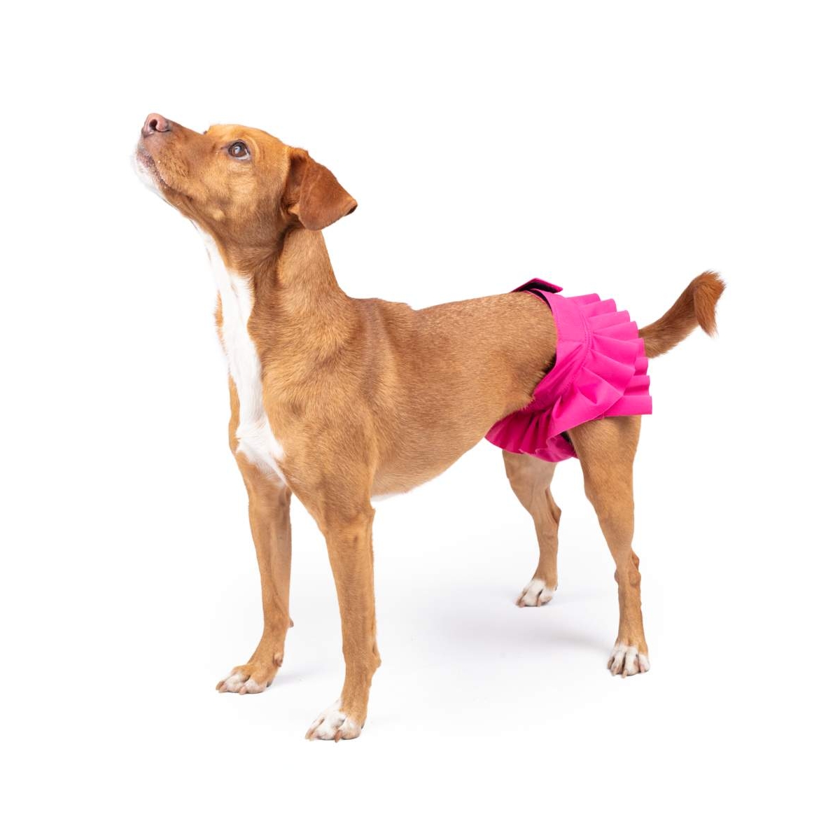 Finnero jooksuajapüksid Ballerina, fuksia, S - Tootepilt 1