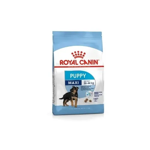 Royal Canin Maxi kutsika kuivtoit, 4 kg