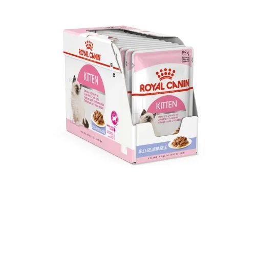 Royal Canin kassipoja einekotike želees, 12 x 85 g