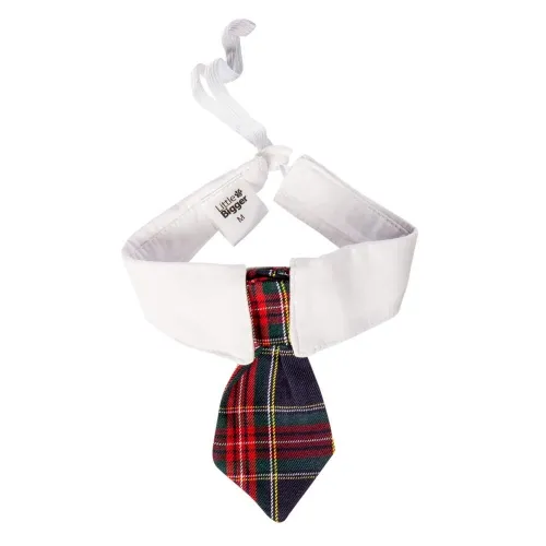 Little & Bigger koera kaelarihm lipsuga, Festive, M