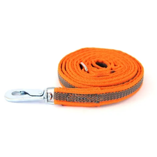 Onega kummeeritud jalutusrihm koerale, 20 mm x 5 m, oranž